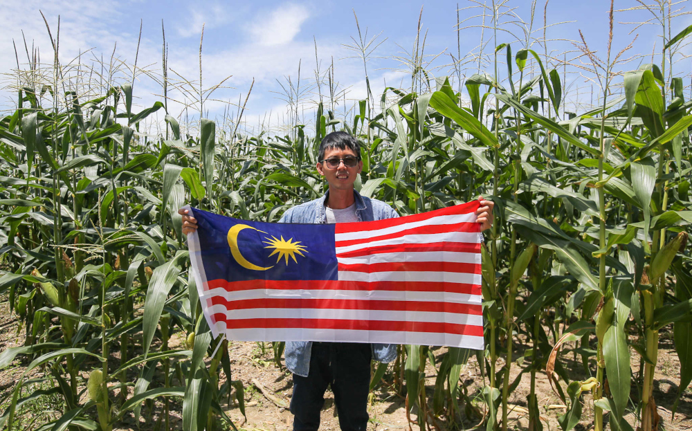 Pheong Kar Yu holds the Malaysian flag proudly to celebrate Malaysia Day at his farm in Taman Putra Indah, Bercham in Ipoh, Perak September 15, 2021. — Picture by Farhan Najib