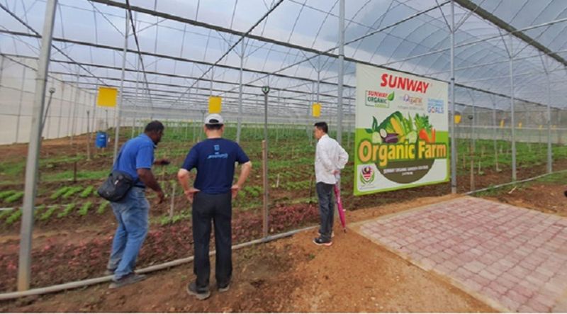 The Sunway Organic Farm in Ipoh strives to make a difference in increasing food security in Malaysia. On the right is Sunway Group founder and chairman Tan Sri Dr Jeffrey Cheah with executive director of the chairmanu00e2u20acu2122s office, Ong Pang Yen (centre). 
