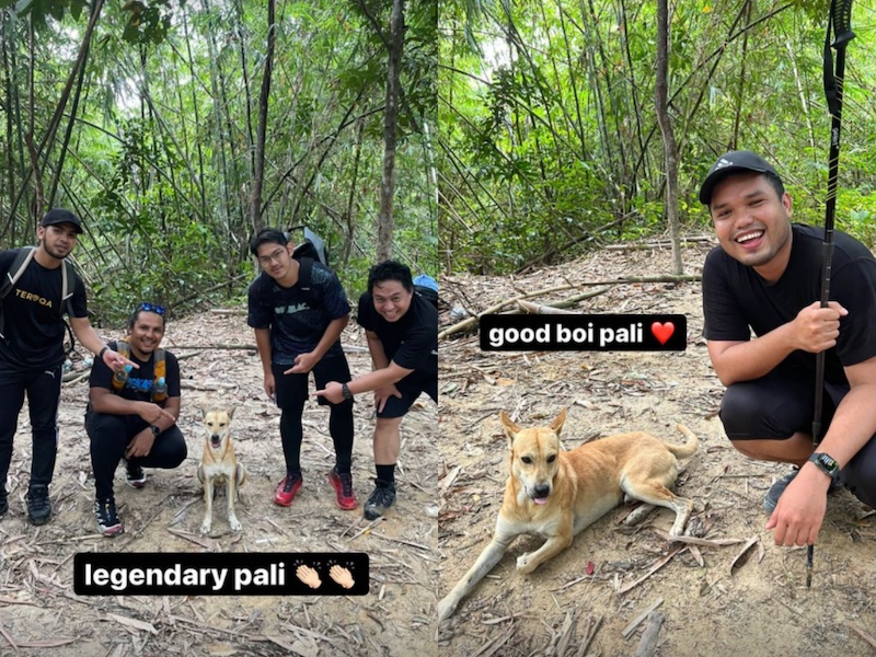 Rencontrez Pali, le chien qui est devenu un guide de randonnée personnel pour un groupe d'hommes malais.  — Photo avec l'aimable autorisation d'Instagram/khairulaming
