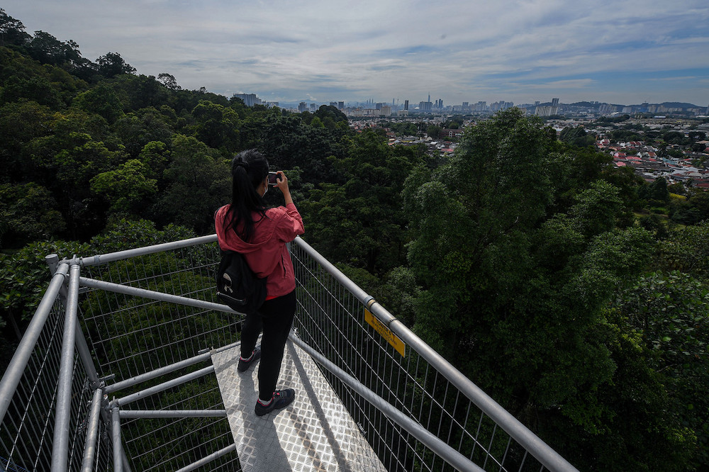 The Forest Skywalk, supervised by FRIM, is now open to the public again. u00e2u20acu201d Bernama pic