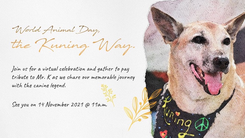 To celebrate Kuning's life, Furry Friends Farms will be having a memorial on Nov 4. — Picture via Facebook/ Furry Friends Farm