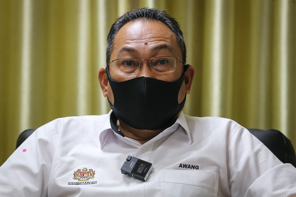 Deputy Human Resource Minister Datuk Awang Hashim says the Malay language is the national language and should be used in all sectors. — Picture by Yusof Mat Isa