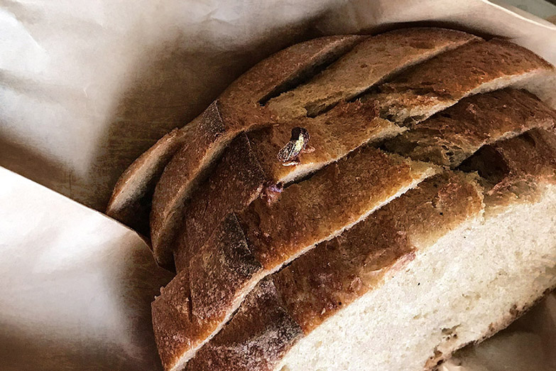Roti penghuni pertama adalah pilihan yang lebih mudah dicerna daripada roti gandum hitam tradisional.