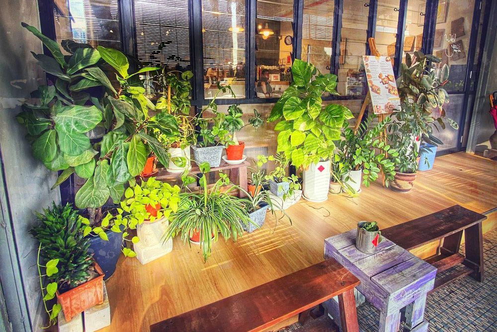 Located along a row of shophouses, the bakery café is a cosy and green space.