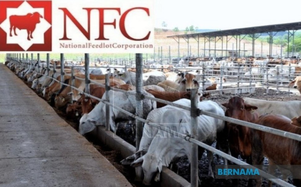 The government and NFC are still in talks to settle a lawsuit demanding that the company repay the loan and interest amounting to RM253.6 million in connection with the National Feedlot Centre project in Gemas. u00e2u20acu201d Picture via Twitter/Bernama