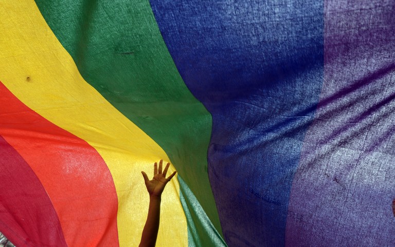 An Indian sexual minority community member gestures over a rainbow flag while participating in a Rainbow Pride Walk in Kolkata on July 7, 2013. u00e2u20acu201d AFP pic