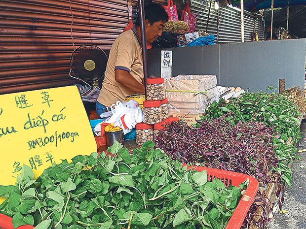 Hard-to-find fresh herbs that are to be boiled into cooling teas at Pasar Pudu