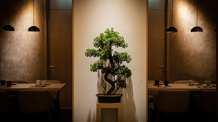 Opt for the private rooms at Sushi Ryu when you’re entertaining clients