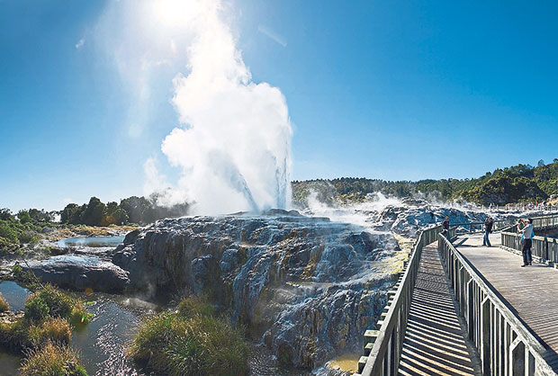 The Pohutu Geyser erupts about 20 times a day