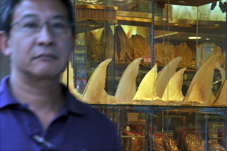 In a photo taken on November 22, 2011, a man walks past shark fins displayed at a dried seafood store in Hong Kong. u00e2u20acu201d AFP pic